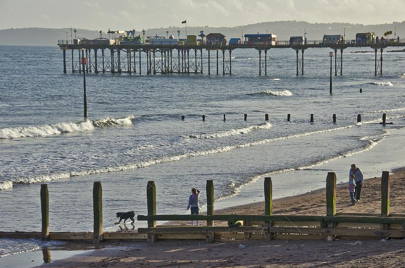 Family plays with dog on beach near Teignmouth Pier.
