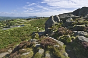 View over Ilkley Moor from the Cow and Calf Rocks.
