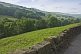 Image of Tree-lined valley of small fields with dry stone wall on Woodhead Road A6024.