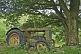 Abandoned Fordson tractor in field under a sycamore tree.